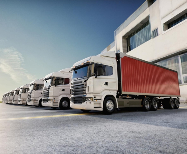 Land Transportation